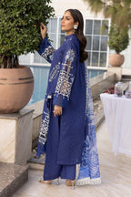 Safa Noor Nuri Lawn SN-02, photo 3