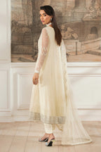 Zarif Heer Formal Wear Z-03 (Ayda), photo 3