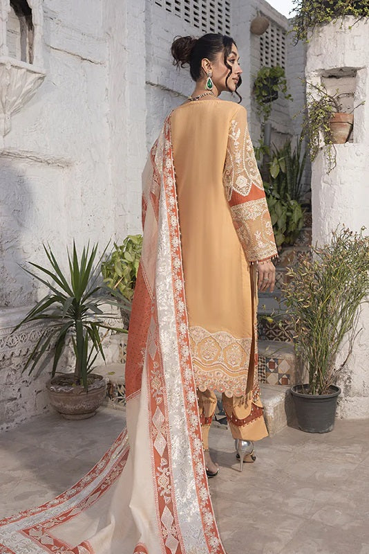 Razab Ranjhan Formal Wear RJN-03, photo 2
