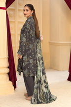 Safa Noor Nayab Linen SN-06, photo 2