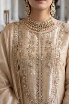 Dressline Chashm-e-Ara Formal Wear FB-287C, photo 2