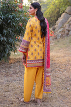 Asim Jofa Print Lawn AJUUB-06, photo 2