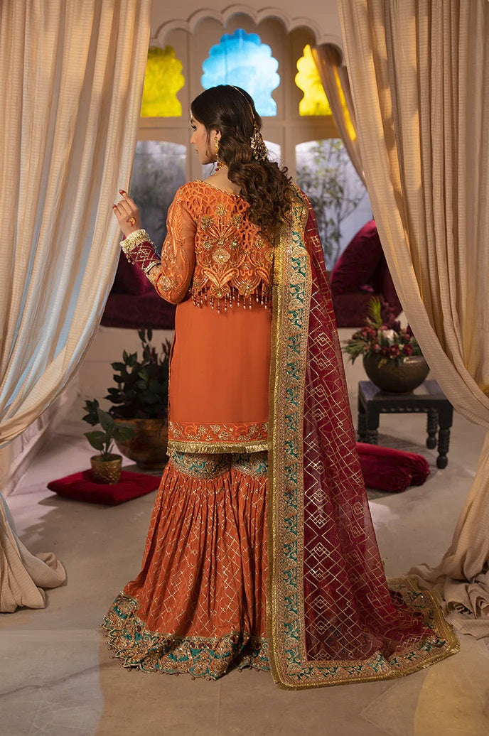 Razab Aangan Formal Wear AGN-18, photo 3