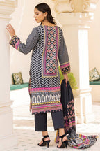 Malhar Digital Lawn ML-10, photo 2
