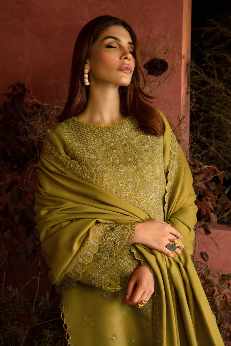 Rang Rasiya Premium Karandi D-10 (Cardamom), photo 2