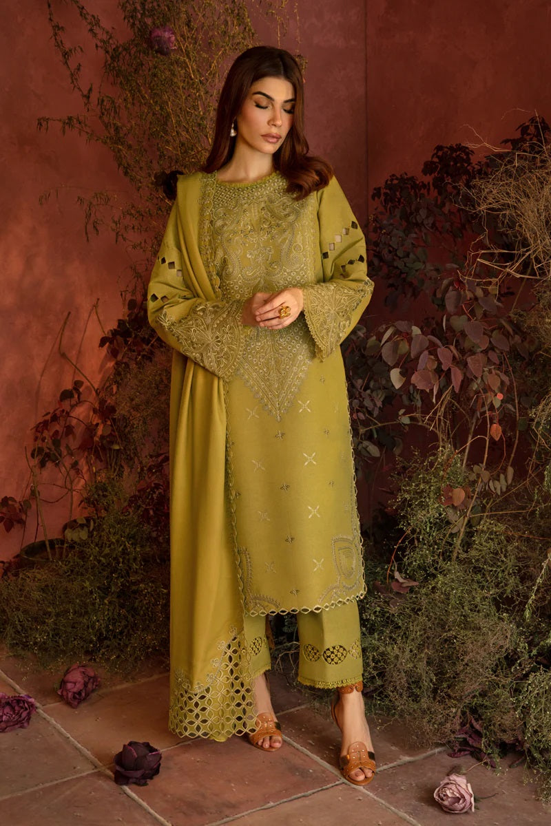 Rang Rasiya Premium Karandi D-10 (Cardamom) – Rang Rasiya 3-piece unstitched suit