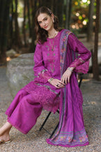 Noor Luxe Printkari Lawn D-01A by Saadia Asad, photo 2