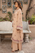 Embroidered & Embellished Beige Chiffon 3-Piece Unstitched Suit by The Fabric Store, photo 4