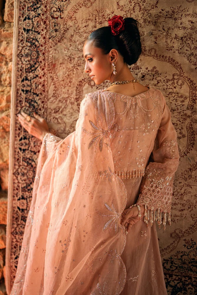 Florent Mehermaah Formal (Nargis), photo 2