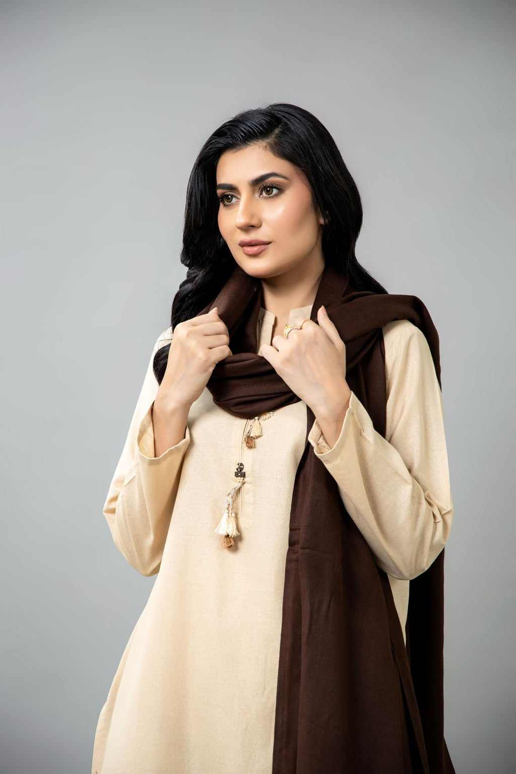 Brown Semi Pashmina Shawl by The Fabric Store, photo 3