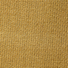 Golden Wheat karandi fabric – close-up