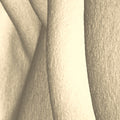Beige cotton fabric