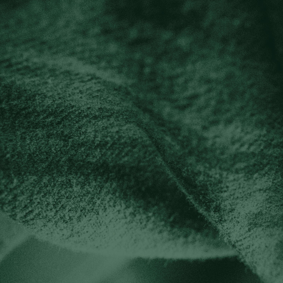 Bottle Green khaddar fabric