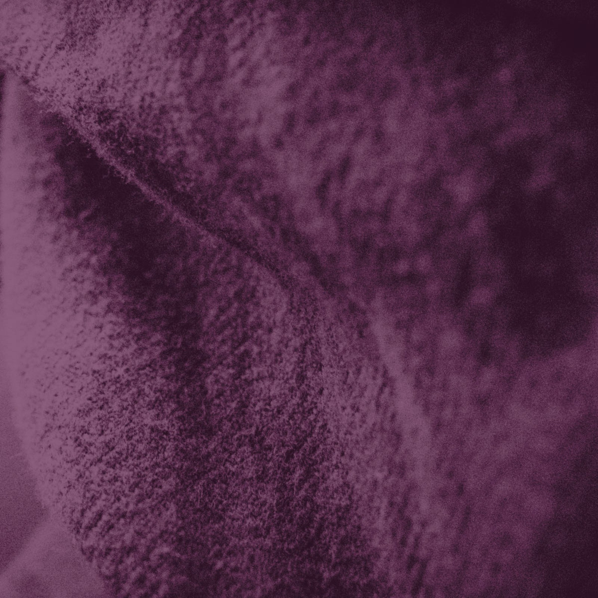 Plum khaddar fabric
