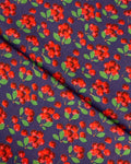 Rang e Bahar Digital Print Lawn (REBD-S26-0244), digitally printed lawn fabric by the meter