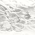 White lawn fabric