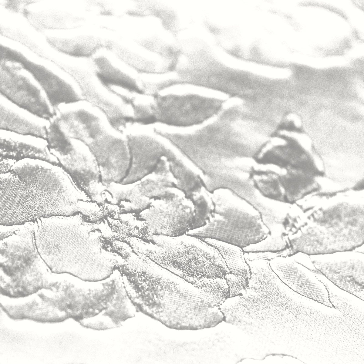 White lawn fabric